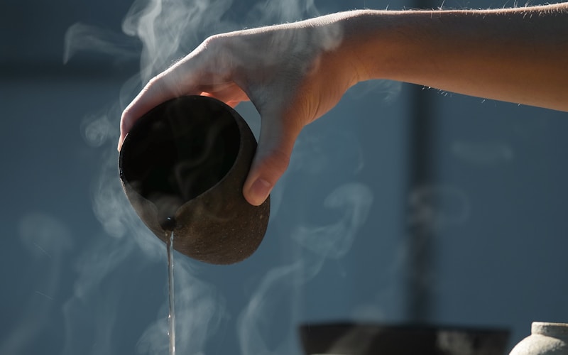 L'art de la cérémonie du thé japonaise : tradition et sérénité