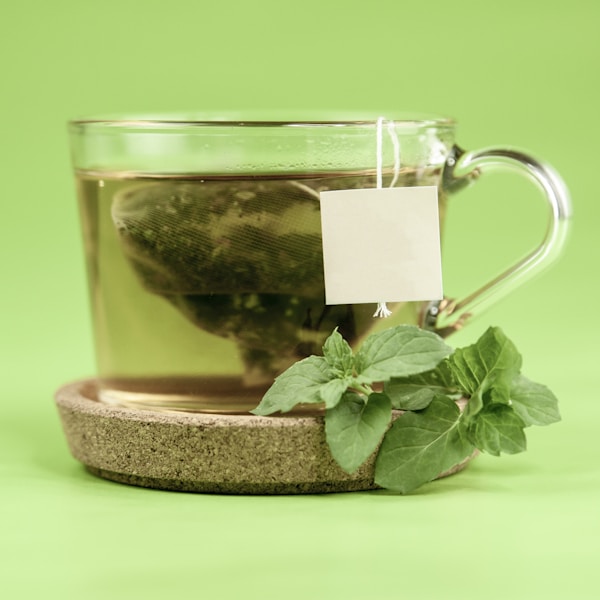 Sencha Supérieur Bio